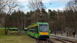 MPK Poznań - linia 6 | Solaris Tramino S105p #554