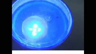 Ocean Wave Projector