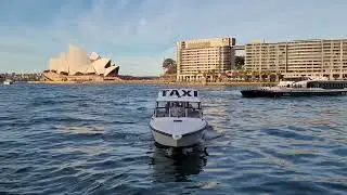 A trip to Sydney Circular Quay and Museum of Contemporary Art Australia. 游悉尼码头, 看悉尼歌剧院, 参观澳洲艺术博物馆