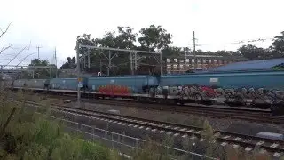 Triple 81's with PN 3422 canola train - 21/2/16
