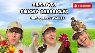 Crissy O&rsquo;s Clucky Chronicles &ndash; Official Channel Trailer 2025!
