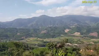 V&ocirc; khe suối kiếm chuối rừng về ng&acirc;m rượu v&agrave; c&aacute;i kết lấy được cả xe lớn || Mẫn Trọc TV