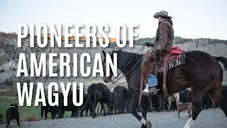Pioneers of American Wagyu
