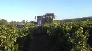 Braud 9090X Grape Harvester