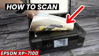 Epson XP-7100 : How to Use the Scanner