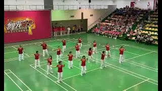 粉紅超跑-柔力球 （新竹展演 丁千貴創編  ）                                        
