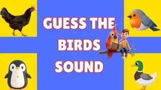 🐦 Детский конкурс &laquo;Угадай звук птицы&raquo;! | Весёлая игра-викторина о птицах | 🌈 Весёлая игра-виктори...