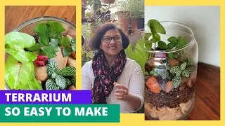 #DYITerrarium/know the specific soil and the basic layers of making an open terrarium