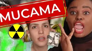 🔥 ISMEIOW E O CASO DA MUCAMA DE GRINGO BORDER X ESTILISTA DA PERMUTA DO VESTIDO DE CASAMENTO