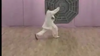 bagua forms