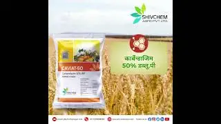Caviat-50  #farming #herbicide #agriculture #crophealth #kisan #trending #viral #video #shivchemagro