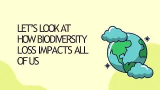 Why is the current wave of biodiversity loss likely to impact human well-being around the world?