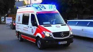 [Delfis Europa] RTW ASB&Ouml; Persenbeug