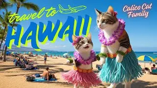 Cutest Hawaii Trip Ever! Calico Mama Cat & Kitten Explore Aloha Paradise