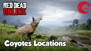 Coyotes rdr2 Online Locations - Red Dead Online Coyotes Location Guide