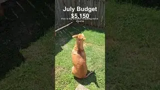 July budget! 🎂
