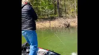 Swimbaits and Beds
