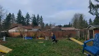 Arrow's Agility Foundation - mat work Nov. 25