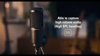 Best Cardioid Condenser Microphone for Recording & Streaming | AT2020