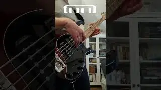 Tool's most iconic riff. Tool - Schism  #bass