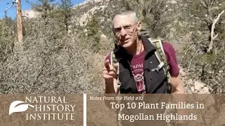 Notes From The Field - Episode 32: Top 10 Plant Families in Mogollon Highlands
