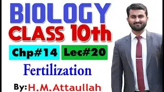 Fertilization | Chapter # 14 | smart syllabus | Biology Class 10th | Lec 20