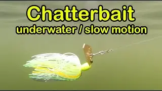 Chatterbait fishing lure underwater slow motion #SHORTS