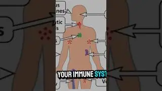 Simple Natural Ways to Boost Immunity Every Day