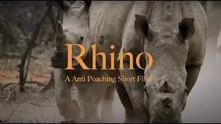 Rhino / a anti poaching short film / Shot on Sony A7SIII
