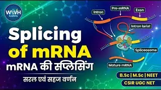 Post-transcriptional modifications:  mRNA Splicing