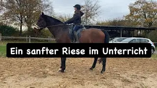 Doppellonge f&uuml;r den Riesen | Teil 4