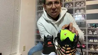 Lebron 17 James Gang Full Review