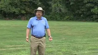 Tall Fescue