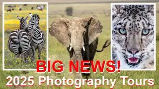 BIG NEWS! Announcing my 2025 International Photography Tours