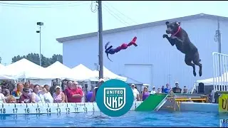 Dock Jumping Dogs | Diving Dogs | United Kennel Club (UKC)