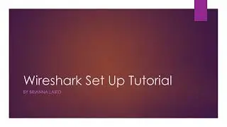 Setting up custom column views within Wireshark.