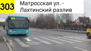 Автобус 303. Матросская ул. - Лахтинский разлив