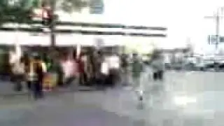Protesting against palin (2008) polar bear protest