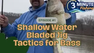 Shallow Water Chatterbait Tactics