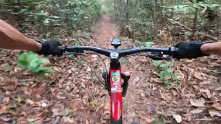 Tsw Stamina no XCO.