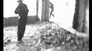 ASG Airsoft Poland - Nadole 2006 - BAP and QB teams movie