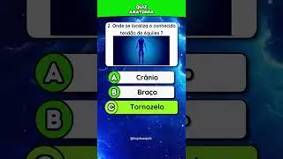 🩺 Quiz anatomia!