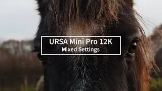 Ursa Mini Pro 12k mixed resolutions on 4k timeline.