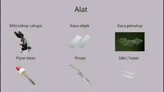 LAPORAN PRAKTIKUM BOTANI UMUM,SEL TUMBUHAN (RHOEO DISCOLOR & BAWANG MERAH)