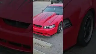 #mustang #automobile #cartok #cars #fast #america #edit #dark #red #braumracing #borla