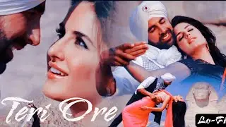 Teri Ore (Reverb+Slow)| Singh Is King | Akshay Kumar | Lofi Music