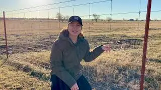 Kids' Questions About Agriculture- How do ranchers protect sheep?