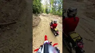 #saptecoline #motorcycle #honda #crf300l #music #enduro #dirt #forest #ride #group #fun #adventure