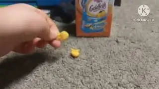 Goldfish Commercial 2009