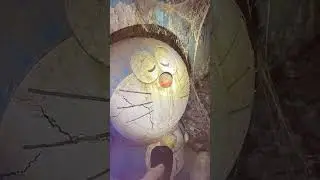 Childhood Memory Found #shortvideo #shorts